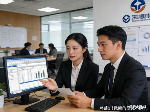 深圳優(yōu)質(zhì)代理記賬及商務(wù)代辦服務(wù)公司精選推薦